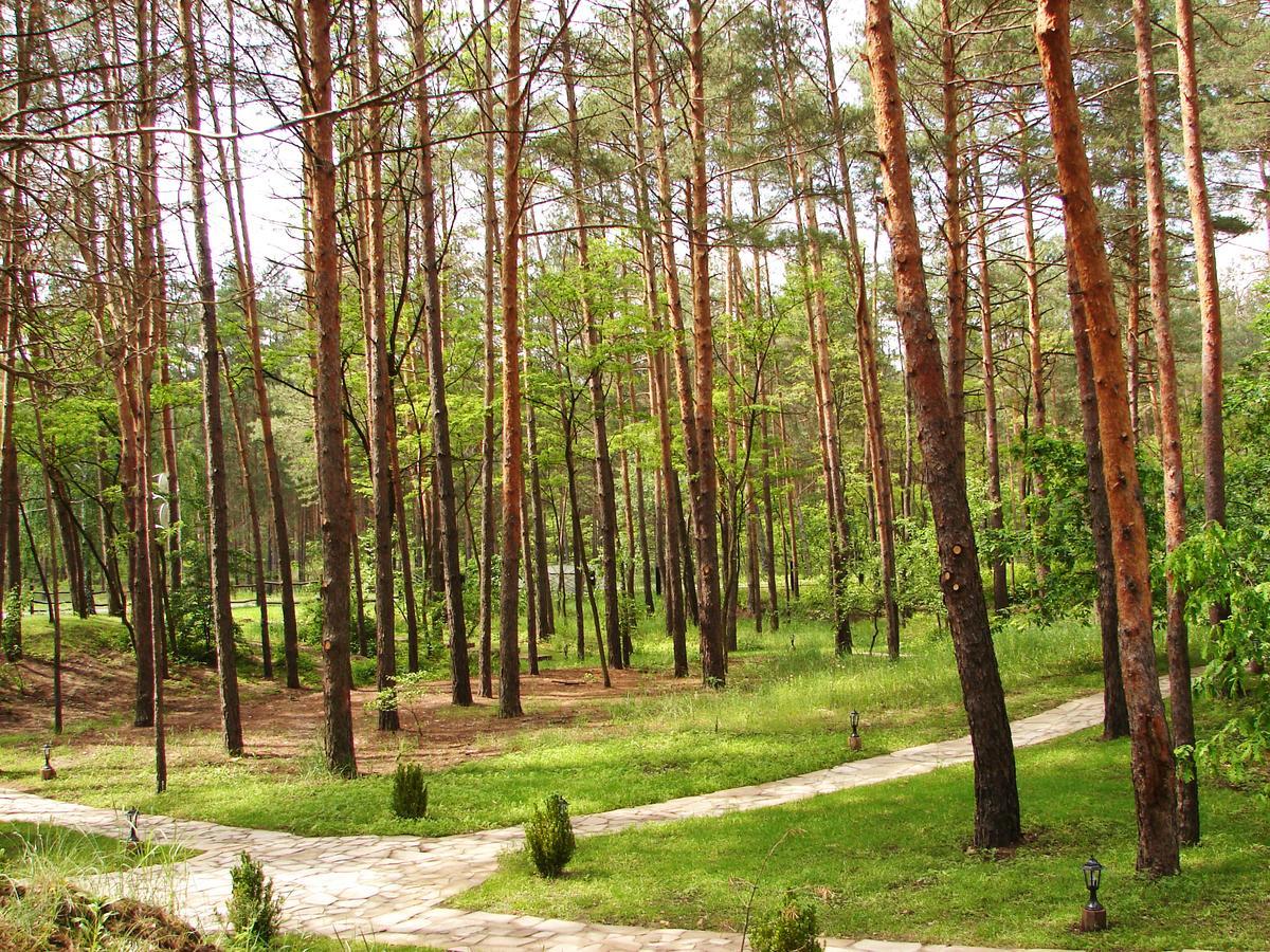 Pershyi Kordon Tourist Complex Hotel Medvedevka Екстериор снимка